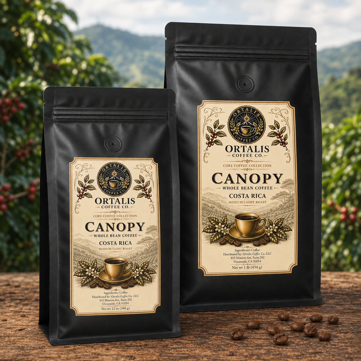 Canopy — Costa Rica Medium-Light Roast Coffee